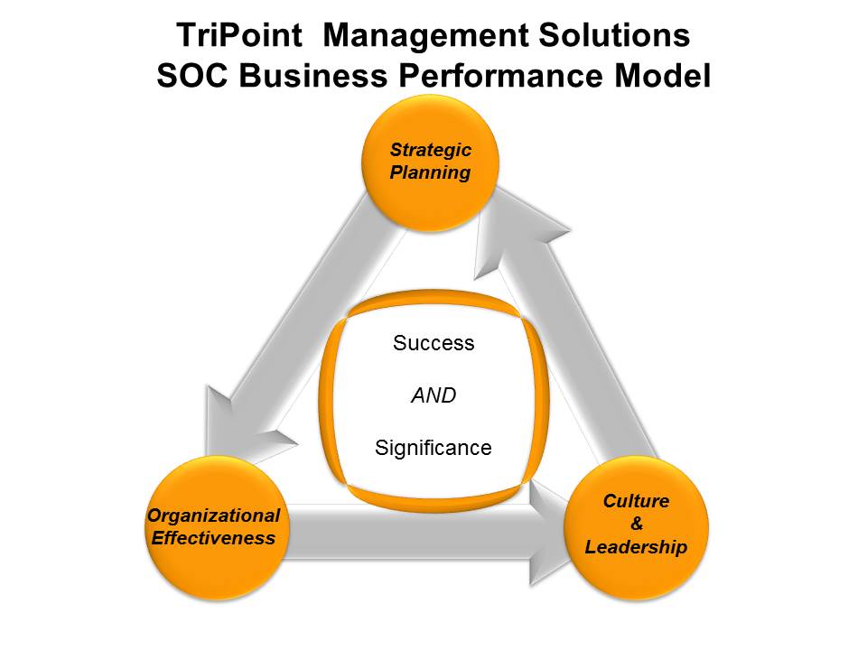 TriPoint Solutions - Services