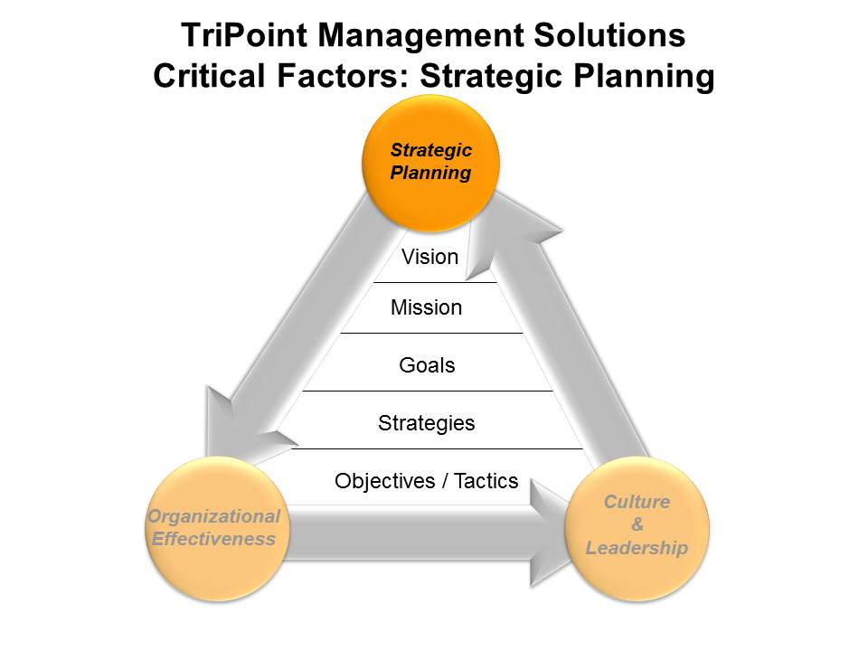 TriPoint Solutions - Strategic Planning
