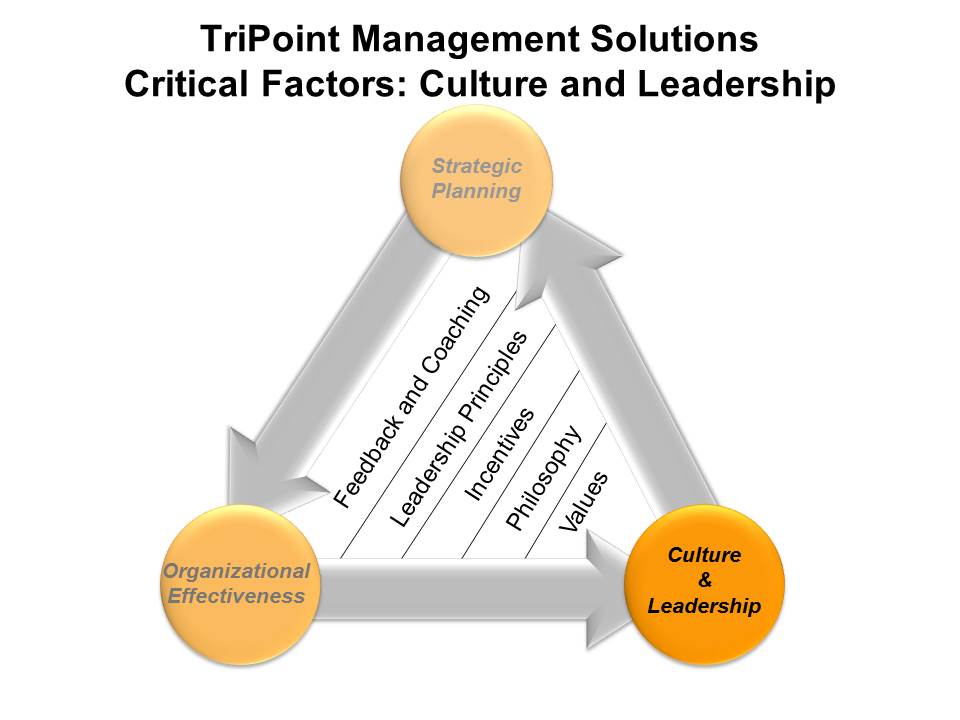 TriPoint Management Solutions - Culture and Leadership