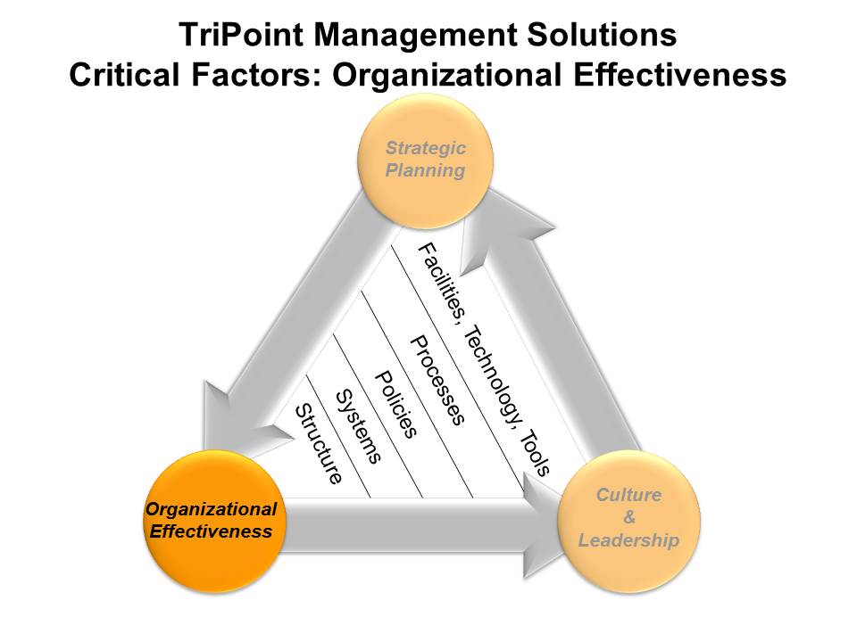 TriPoint Management Solutions - Organizational Effectiveness
